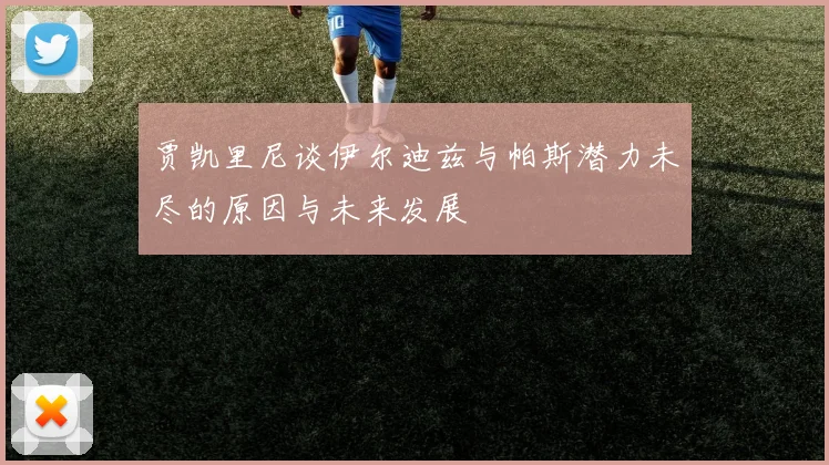 贾凯里尼谈伊尔迪兹与帕斯潜力未尽的原因与未来发展